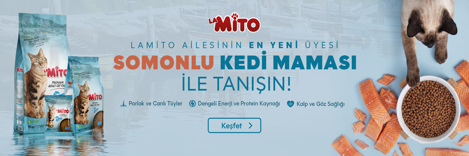 yenilamitosomon