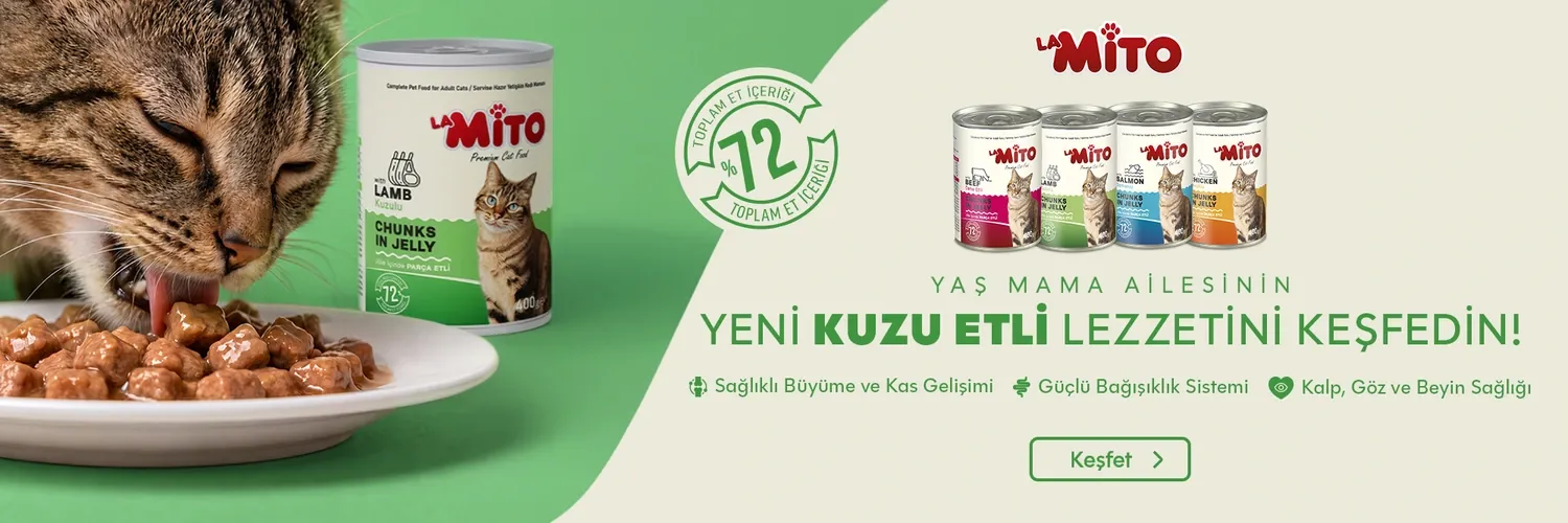 LaMito Yaş Mama