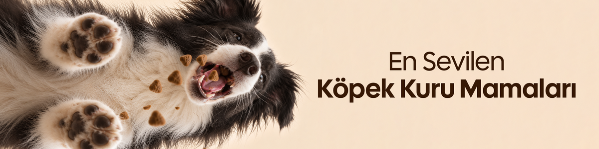 kopek