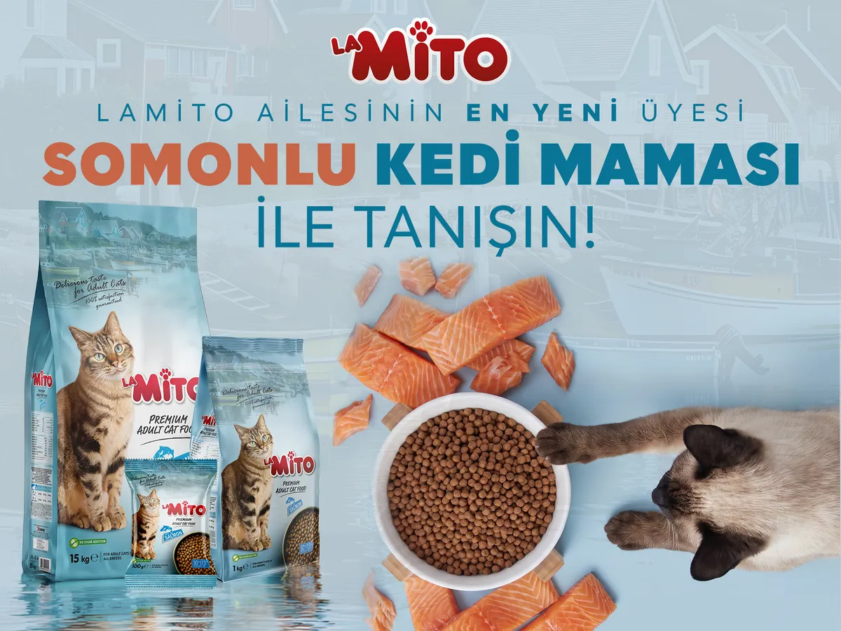 LaMito Somonlu Lansman