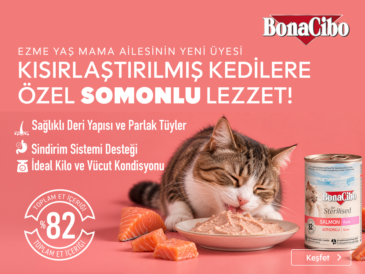 BC Kısır Pate Lansman