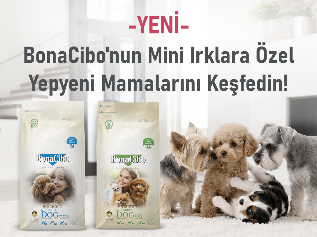 Mini Irk Fiyatsız