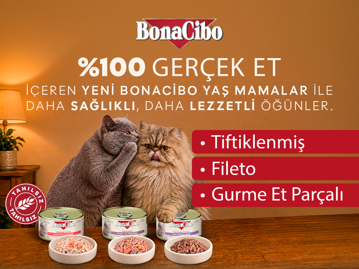yeni yas mama