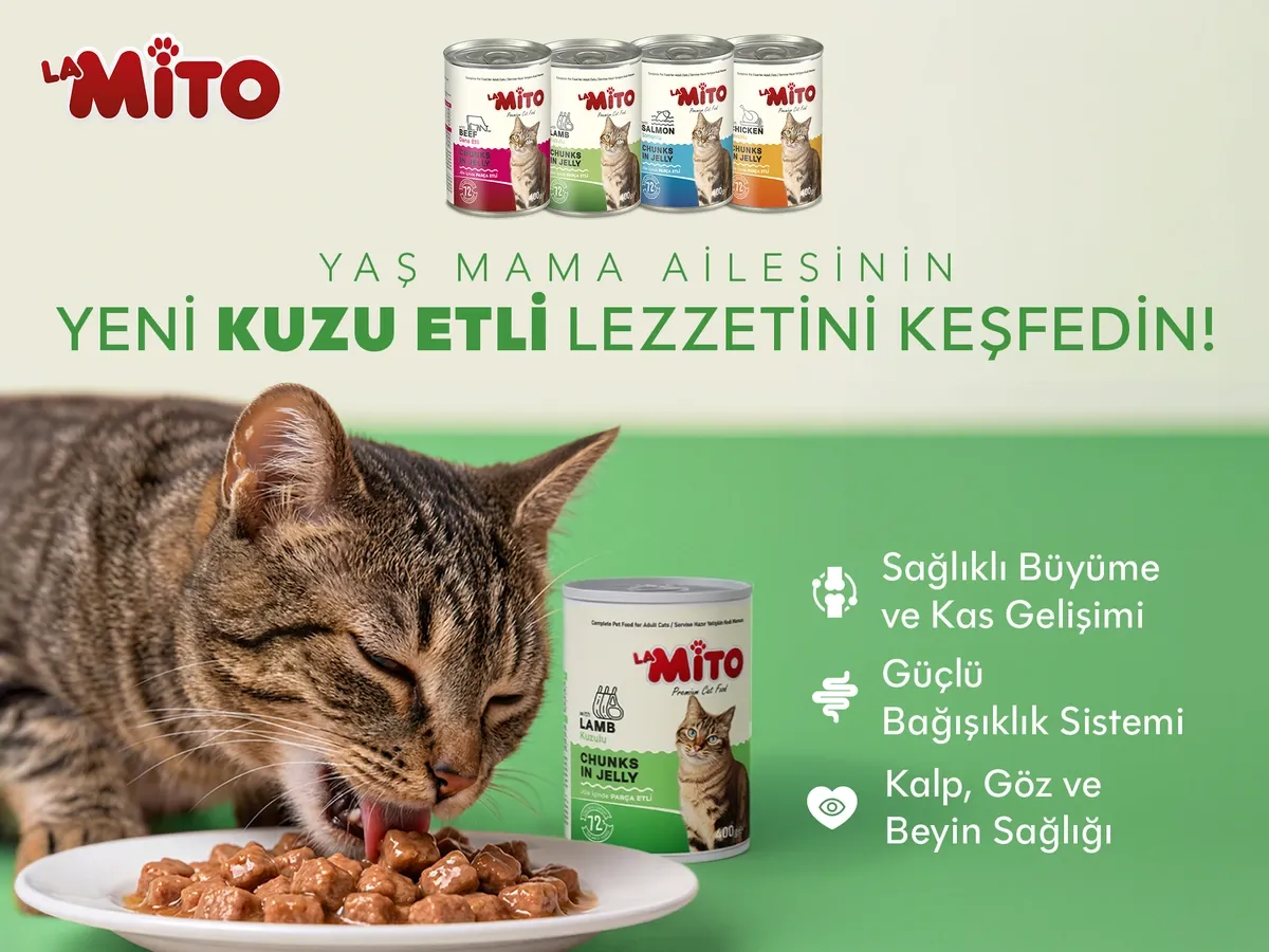 Lamito Kuzu Etli Lansman