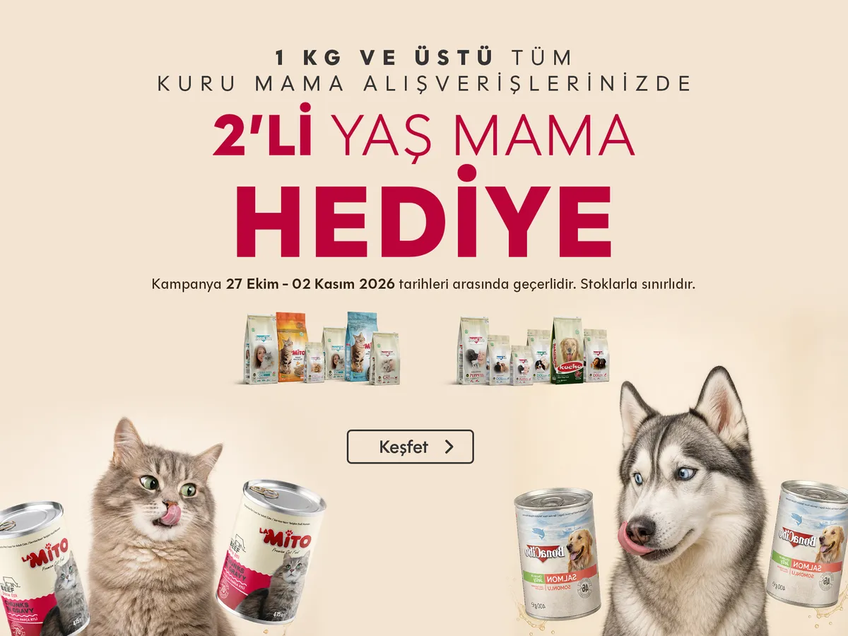 2 Yaş Hediye