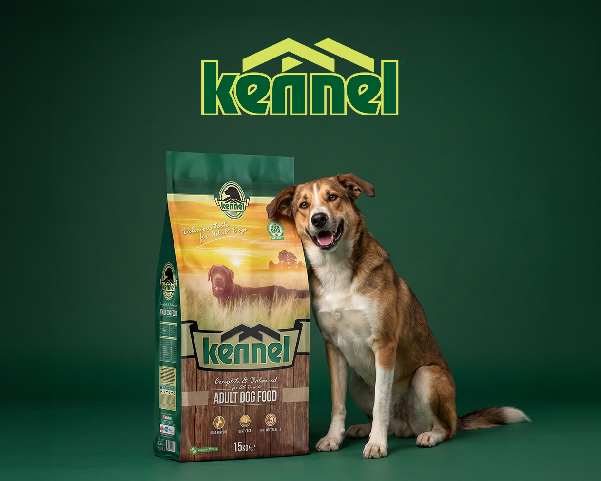 Kennel