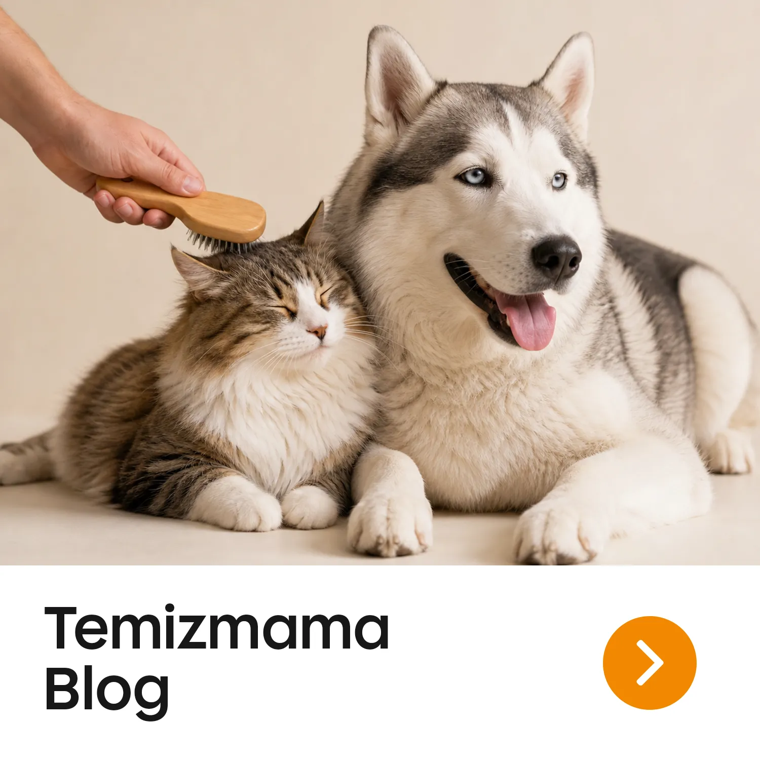 Temizmama Blog