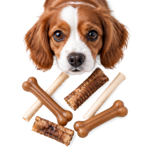Köpek Ödülleri