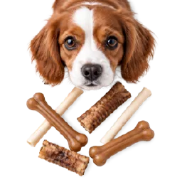 Köpek Ödülleri