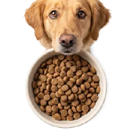Köpek Kuru Mama