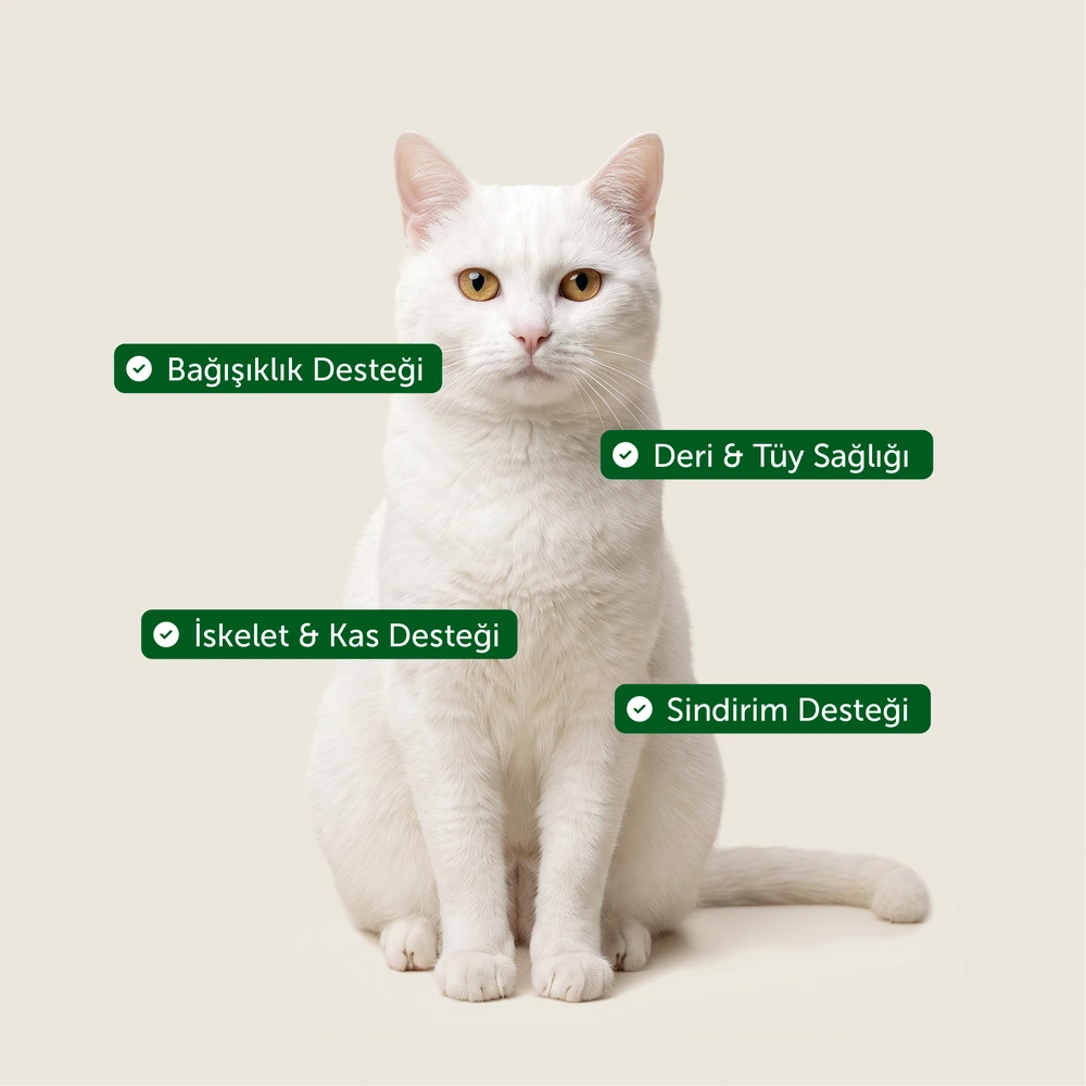 Görseli büyüt BonaCibo Yetişkin Kedi Multivitamin Malt Macunu 100 g x 3 Adet