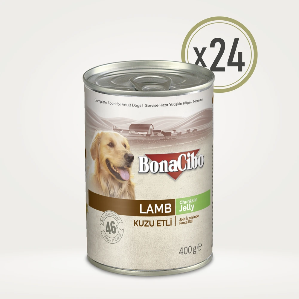 BonaCibo Jöleli Kuzu Etli Yetişkin Köpek Yaş Maması 400 g x  24 Adet