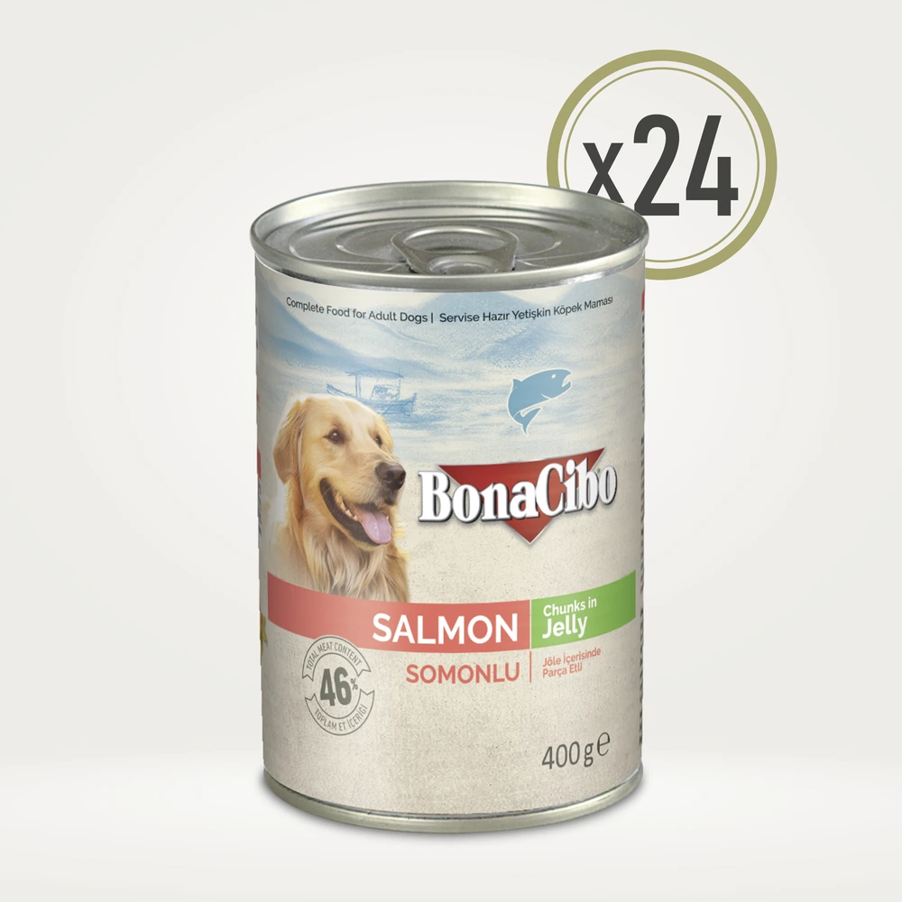 BonaCibo Jöleli Somonlu Yetişkin Köpek Yaş Maması 400 g x  24 Adet