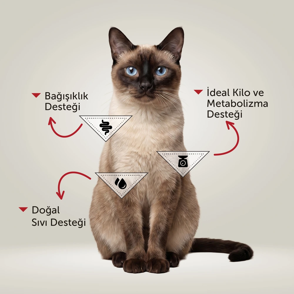Görseli büyüt BonaCibo Ezme Tavuklu ve Hindili Yetişkin Kedi Yaş Maması 85 g x 24 Adet