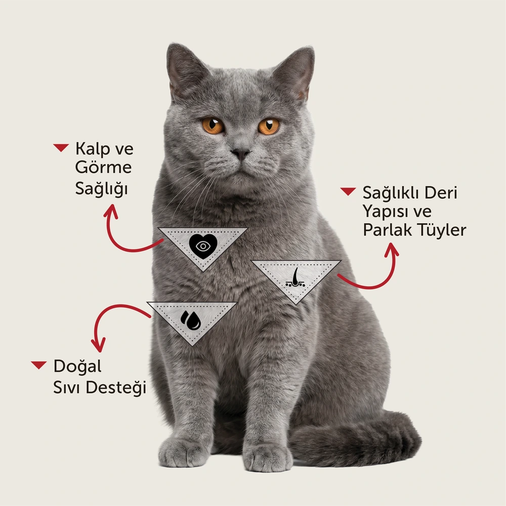 Görseli büyüt BonaCibo Soslu Uskumrulu ve Balıklı Yetişkin Kedi Pouch Yaş Maması 85 g x 24 Adet