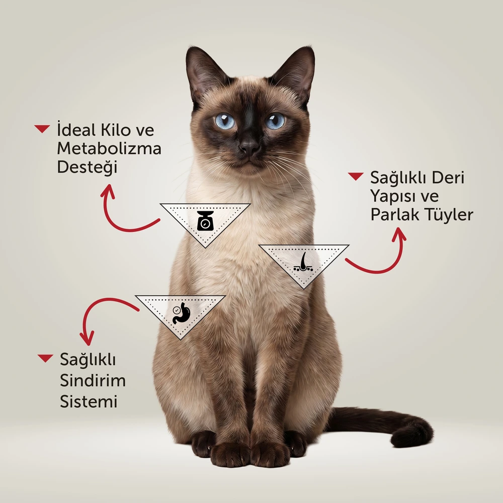Görseli büyüt BonaCibo Ezme Somonlu Kısırlaştırılmış Kedi Yaş Maması 390 g x 24 Adet