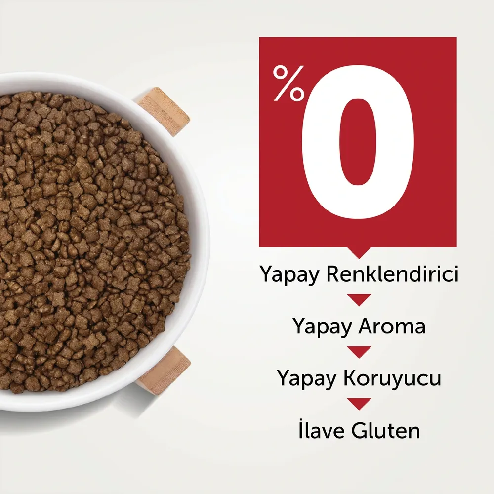 BonaCibo Tavuklu Yavru Kedi Maması 15 kg