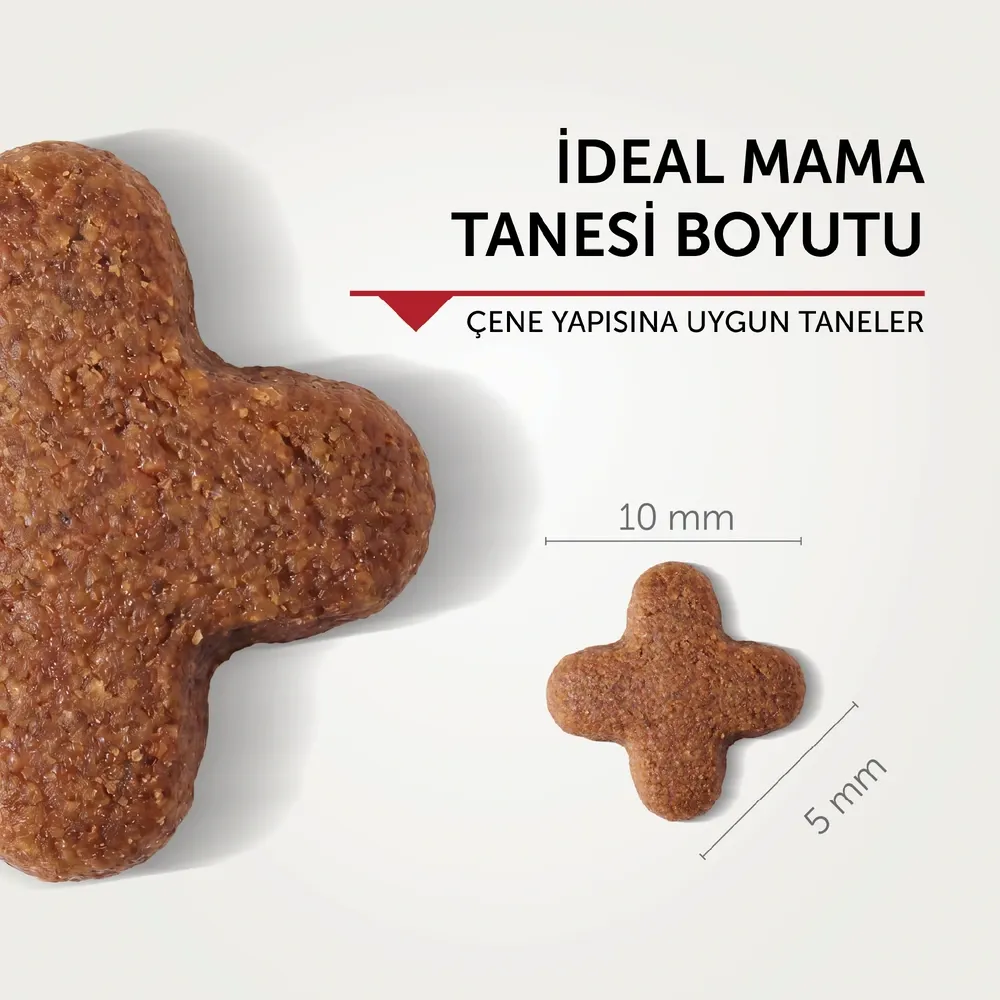 BonaCibo Tavuklu Yavru Kedi Maması 15 kg