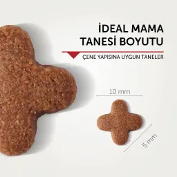 Görsel 4