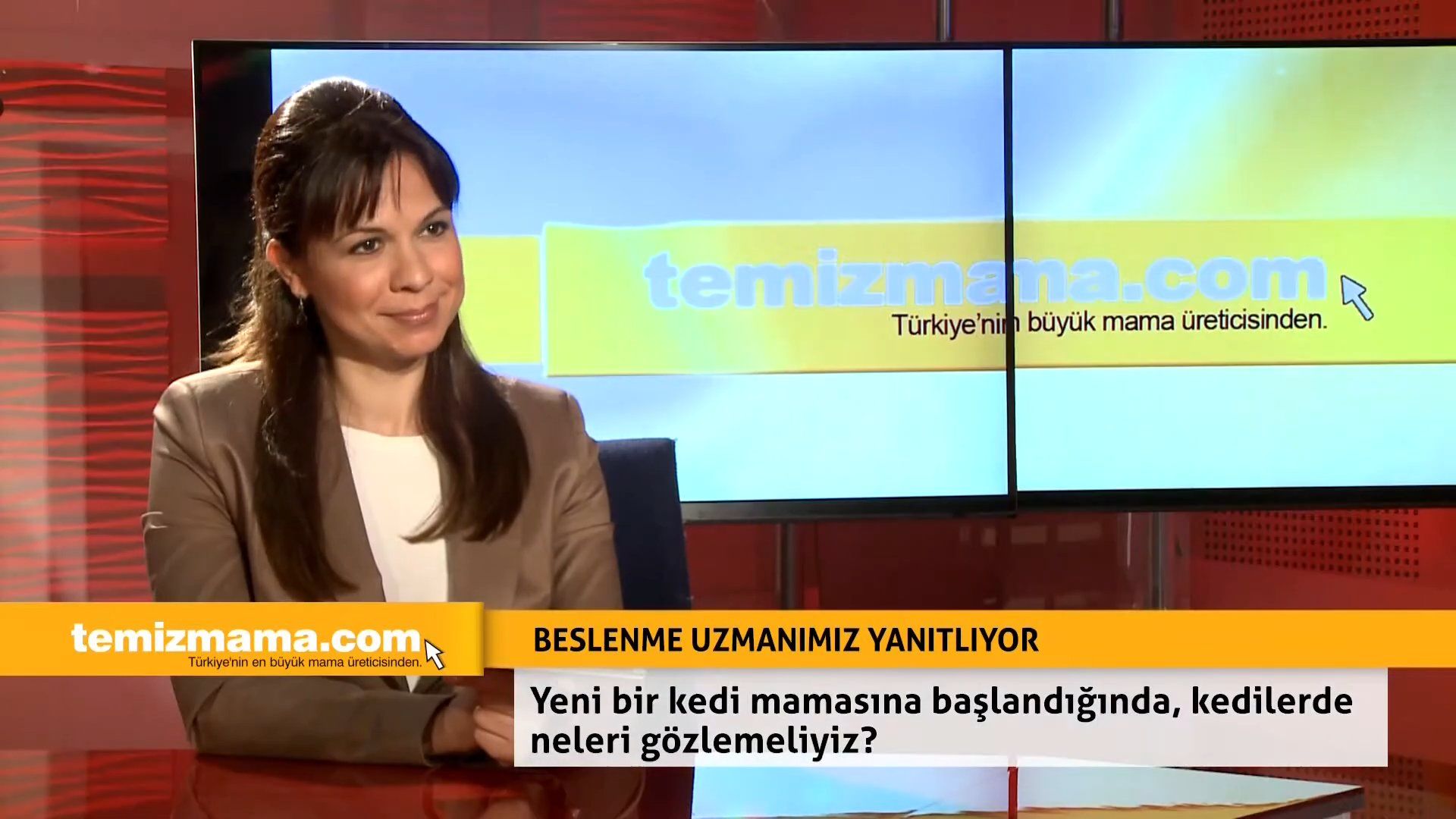 Yeni bir kedi mamasına başladığında, kedilerde neleri gözlemeliyiz?