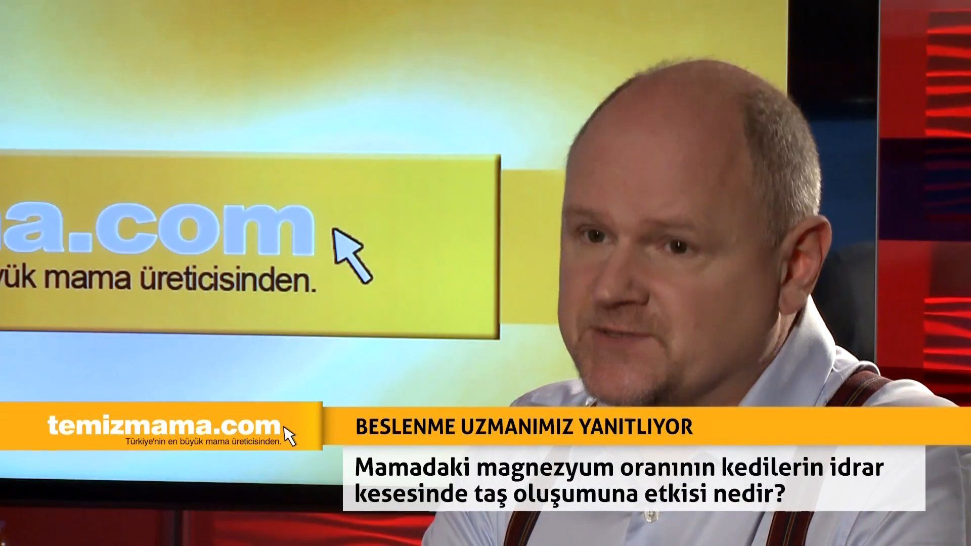Mamadaki magnezyum oranının kedilerin idrar kesesinde taş oluşumuna etkisi nedir?