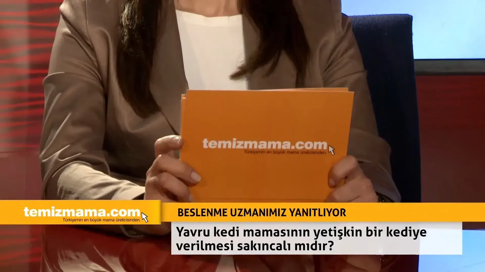 Yavru kedi mamasının yetişkin bir kediye verilmesi sakıncalı mıdır?