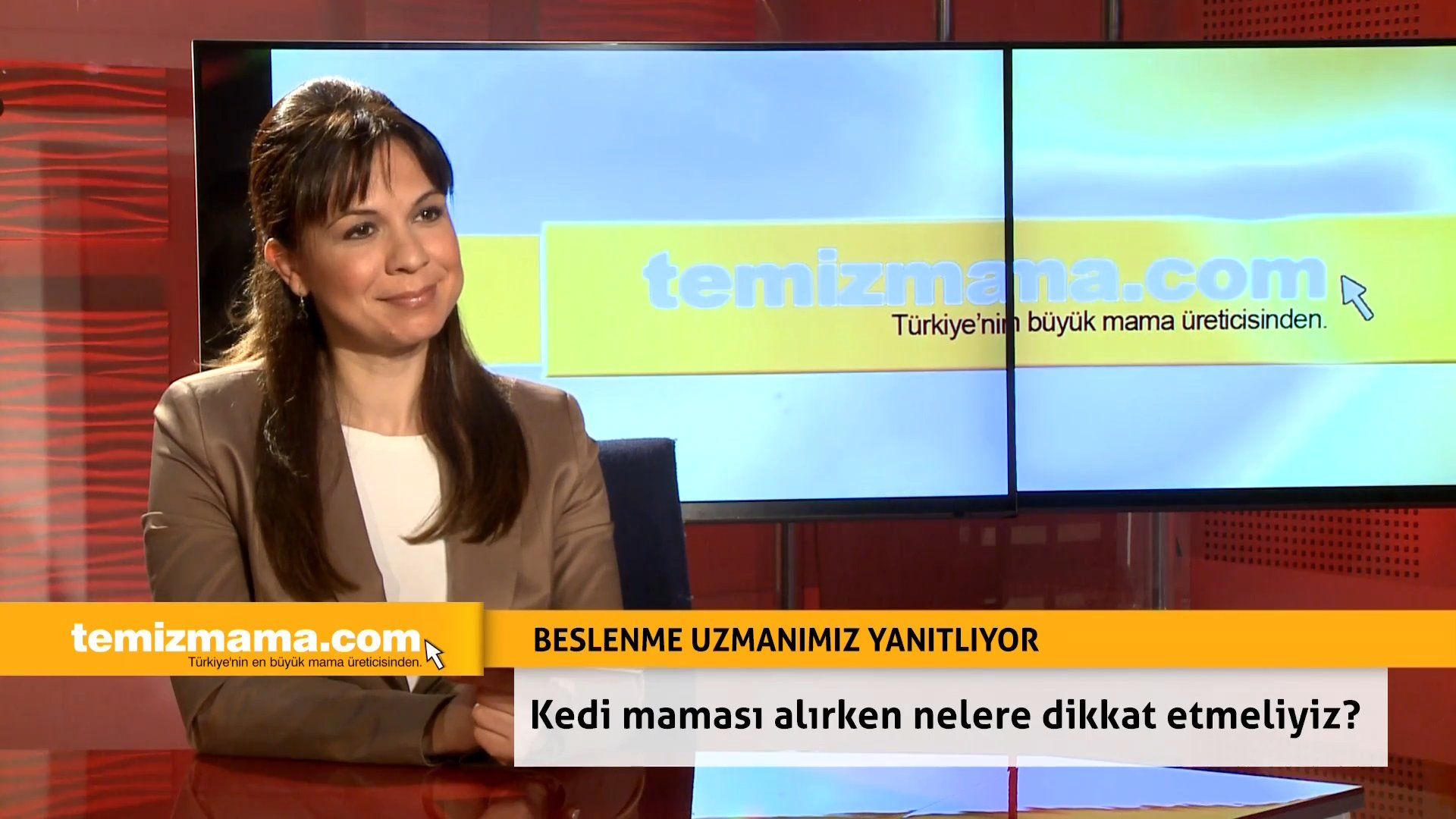 Kedi maması alırken nelere dikkat etmeliyiz?