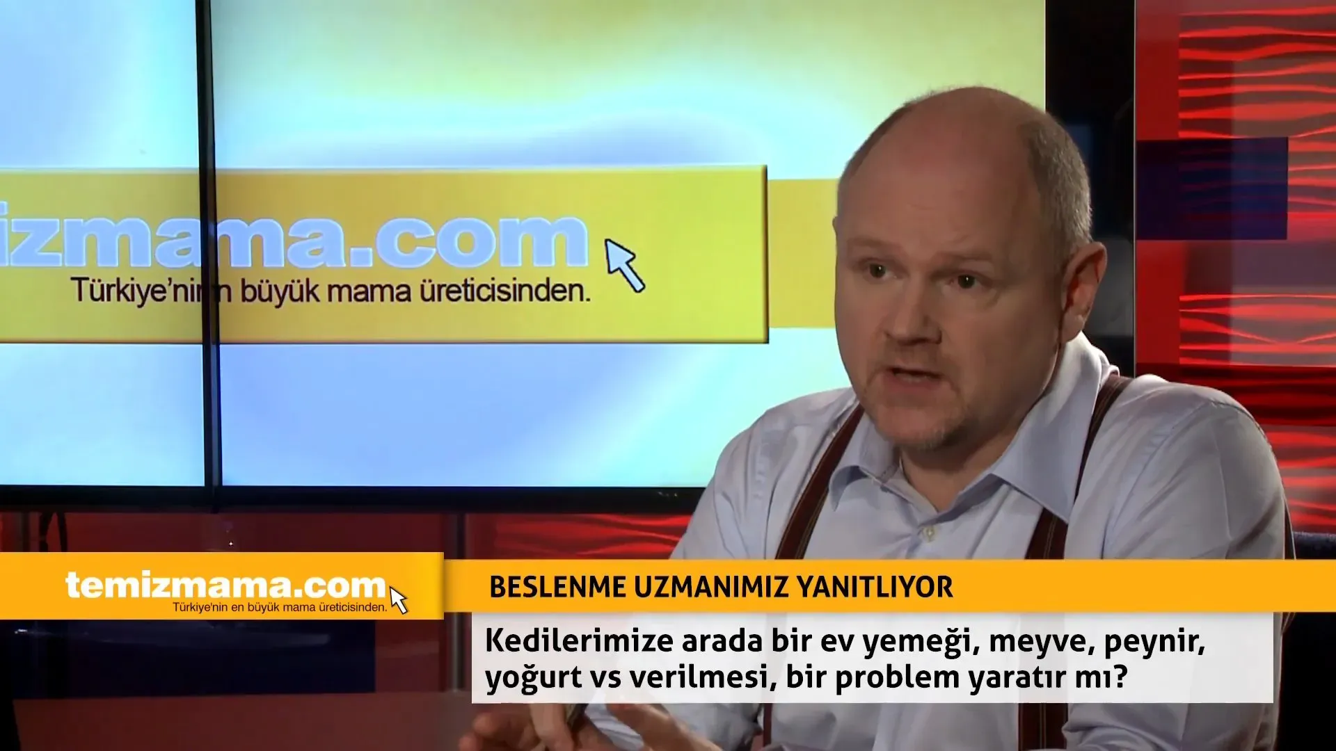 Kedilerimize arada bir ev yemeği, meyve, peynir, yoğurt vs. verilmesi bir problem yaratır mı?